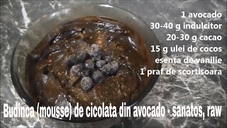 Budinca mousse de ciocolata din avocado  raw vegan [upl. by Lorette]