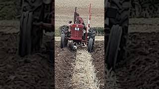 McCormick International B275 Tractor at Forest of Arden Ploughing Match  Sunday 15th September 2024 [upl. by Florenza]