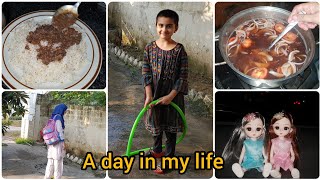 Pakistani home vlog  productive aesthetic routines  Pakistani dinner recipes [upl. by Shih]