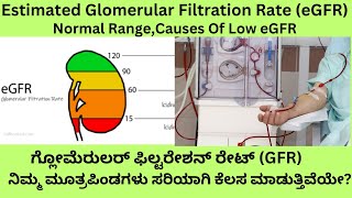 GFR TEST IN KANNADA eGFR NORMAL RANGECAUSES OF LOW GLOMERULAR FILTRATION RATE AND TRAETMENT [upl. by Lamrouex659]