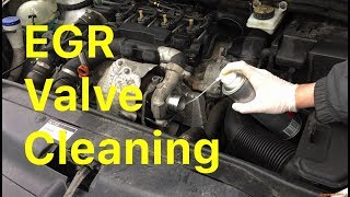 How To Clean an EGR Valve Without Removing It [upl. by Einad740]