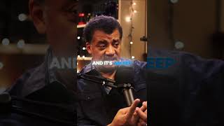 Schrödingers cat explained by Sean Carroll neildegrassetyson [upl. by Fauch]