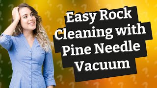 How Can I Quickly and Easily Clean Landscape Rocks with a Pine Needle Vacuum [upl. by Eekcaj493]