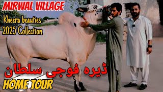 ⭐️Mirwal Special ⭐️Dera Fauji Saltan⭐️Dera Molvi Safdar Home Visit⭐️ [upl. by Eliathan635]