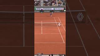 Novak Djokovic Paris Oympics Perfect Shot [upl. by Heffron366]