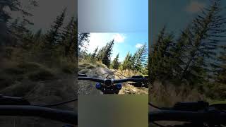 Flashback to riding Hafjell this year 👾 dji downhill moutainbiking mtb norway bike bikepark [upl. by Onibas]