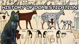 How And When Humans First Domesticated Animals [upl. by Nohshan905]