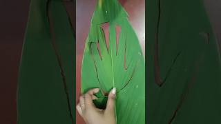 Leaf flag colour art shorts youtubeshorts viralshorts youtube indianflag india republicday [upl. by Augy]