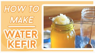 How to make Water Kefir Step by Step Guide  Easy Way to Make Fermented Drinks [upl. by Tarsuss912]