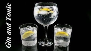 Cómo hacer el clásico GIN and TONIC [upl. by Leirum851]