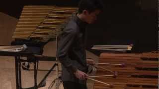 Percussion Concerto  Higdon [upl. by Nylra]