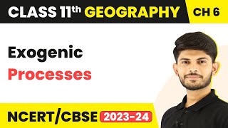 Exogenic Processes  Geomorphic Processes  Class 11 Geography [upl. by Ellehcar]