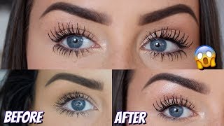 HOW TO GROW YOUR EYELASHES SO LONG  MIRACLE GROW FOR REAL  LOOK AT THE LENGTH OF MINE [upl. by Lyda]