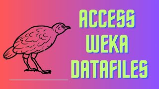 Learn how to access standard datasets provided by Weka [upl. by Arres96]