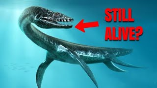 10 Ancient Creatures That Are Still Alive Today  Living Fossilsforyou animals subscribe viral [upl. by Ymia]