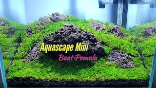 tutorial membuat aquascape tema iwagumi dengan moss dijadikan karpet [upl. by Zertnom]