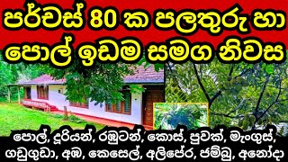 පර්චස් 80 ක පලතුරු ඉඩම හා නිවස  Pol idam  Coconut land  House sale  Land for sale  Aduwata idam [upl. by Zeuqirdor838]