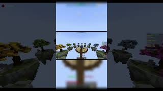 Skywars but we cant use chests [upl. by Yffub617]