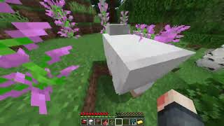 Minecraft Randomizer  Episode 1 [upl. by Hnao]