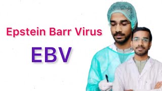 Epstein Barr Virus EBV  Transmission  Pathogenesis  Manifestation  Diagnosis  Treatment [upl. by Livingstone]