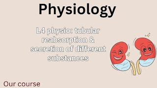 L4 physio tubular reabsorption amp secretion of different substances renal 42 [upl. by Halbeib886]