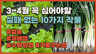 34월 꼭 심어야할 추천작물 10가지 이영상 하나면 충분합니다 [upl. by Hadwyn]