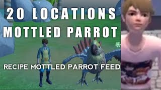 LOCATION AND RECIPE MOTTLED PARROT IN 2020  UTOPIAORIGIN 37 [upl. by Altaf]