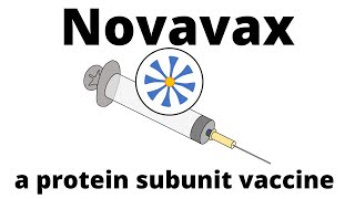 How Novavax the new protein subunit vaccine is produced and how it works [upl. by Selena849]