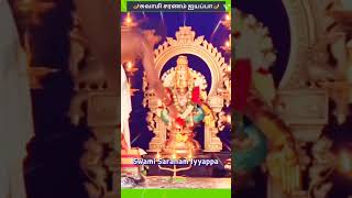 ஐயப்பா சரணம்🪔🙏 iyyappan iyyappansongs shorts viralshorts trendingreels devotional sabarimala [upl. by Clarance]