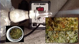 DIY vaporizer with balloons including trichomes microscopy before amp after [upl. by Nonnahsed267]