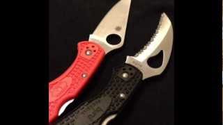 Spyderco Delica 4 VS Byrd Hawkbill [upl. by Blen927]