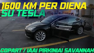 1600km SAVANNAH su TESLA Terminalas  COPART ir IAAI pirkiniai atvyke krovai [upl. by Korb]