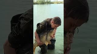 Wild Lake Soncinoun sogno che si avvera carpfishing nash robertovanacore wildlake [upl. by Nede]