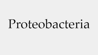 How to Pronounce Proteobacteria [upl. by Asital]