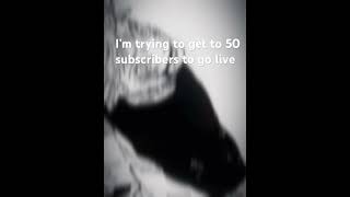 Y’all can say y’all don’t like me I know I am a disappointment I just need 50 subscribers [upl. by Leahcimrej762]