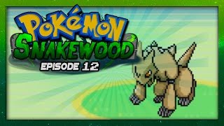 Pokemon Snakewood Episode 12 w Voltsy Gameplay Walkthrough [upl. by Nnael]