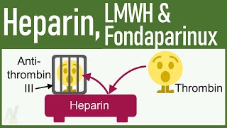 You Will Know EVERYTHING About Heparin LMWH amp Fondaparinux After Watching This Video [upl. by Morena]