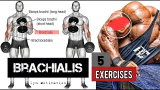 Best 5 Exercises quotBRACHIALISquot Workout  SHREDDED BODY [upl. by Tarton]