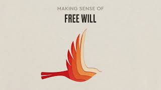 Making Sense of Free Will [upl. by Aloivaf571]