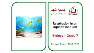 Ibda3  GR7 Biology  Respiration in an aquatic medium [upl. by Guinevere]