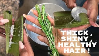 DIY Rosemary  Aloe Vera Juice HAIR RINSE  LEAVEIN CONDITIONER  Nia Hope [upl. by Yroggerg312]