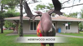 Camp Merrywood Tour [upl. by Florri]