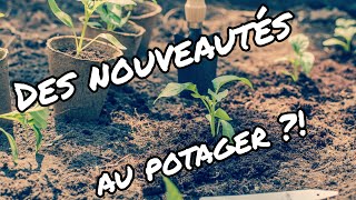 MES NOUVELLES PLANTATIONS AU POTAGER [upl. by Bethanne]