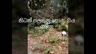 Nidan Wasthu EP 03 නිධන් සලකුනු සොයා Relics Treasures [upl. by Hcir]