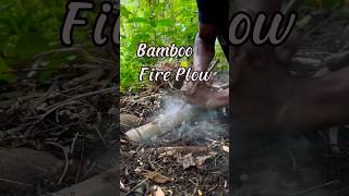 Fire plow in the interior forest firemaking [upl. by Jeannie]