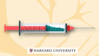 How mRNA vaccines work [upl. by Nitnerb171]