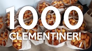 vlogg RÅKAR KÖPA 1000 CLEMENTINER [upl. by Nordgren]