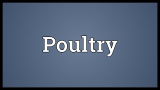 Poultry Meaning [upl. by Etteiram]