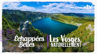 Les Vosges naturellement  Échappées belles [upl. by Corbett]