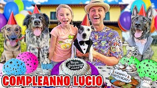 FESTA DI COMPLEANNO A SORPRESA DEL NOSTRO CANE LUCIO NELLA NOSTRA CASA CON GIORGIA E PAPÀ SALVO [upl. by Lynna716]